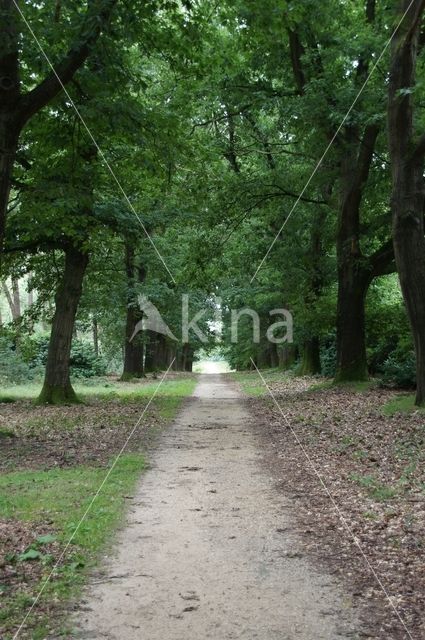 National Park Sallandse Heuvelrug