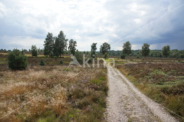 Nationaal Park Sallandse Heuvelrug