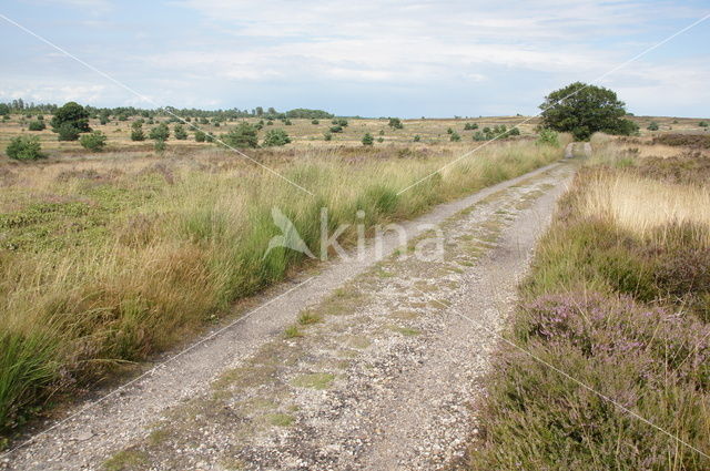 Nationaal Park Sallandse Heuvelrug