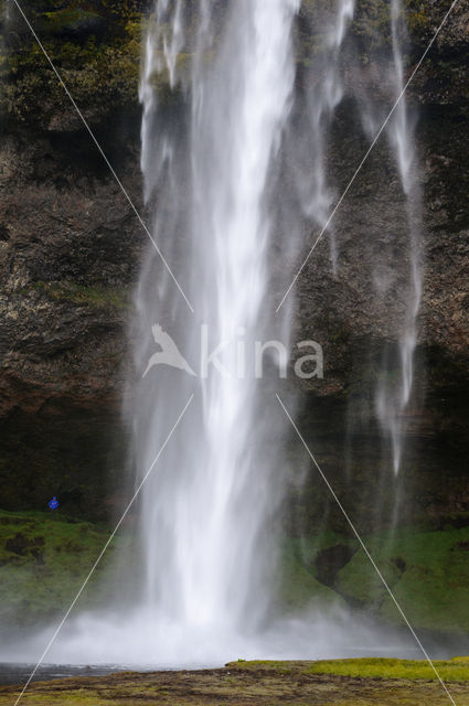 Seljalandsfoss