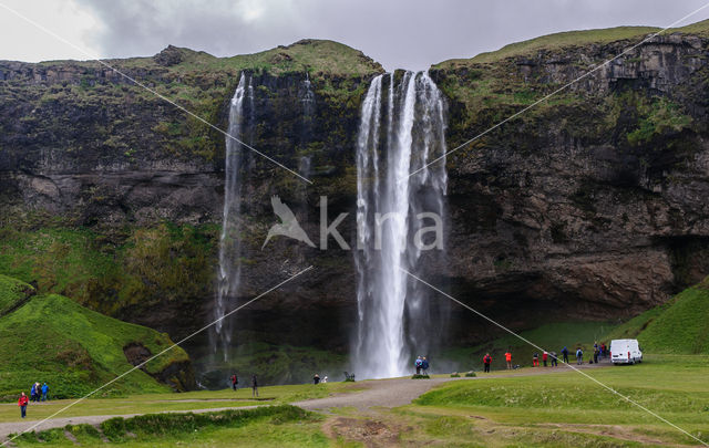 Seljalandsfoss