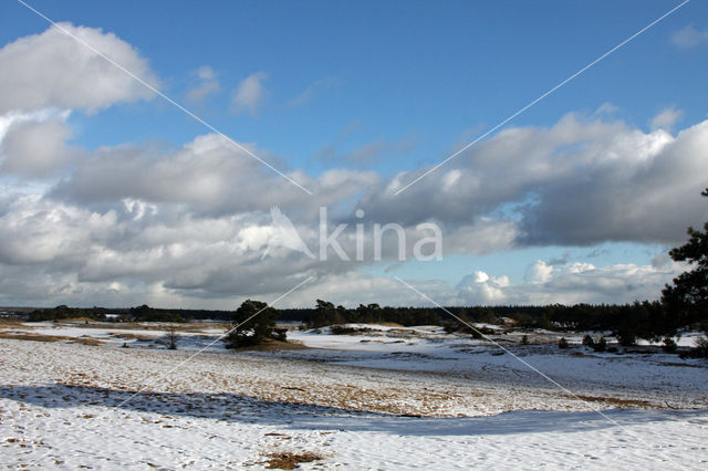 Kootwijkerzand