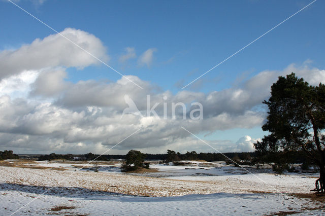 Kootwijkerzand