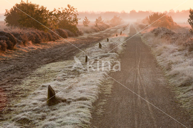 Kootwijkerveld