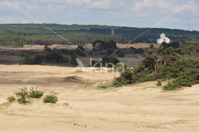 Kootwijkerzand