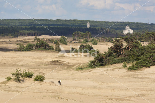 Kootwijkerzand