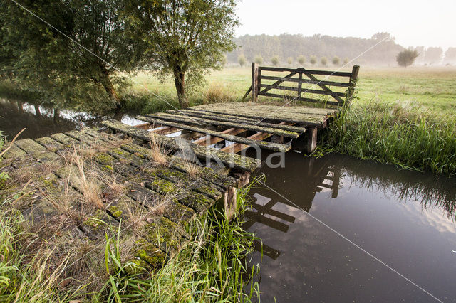 Langbroekerwetering