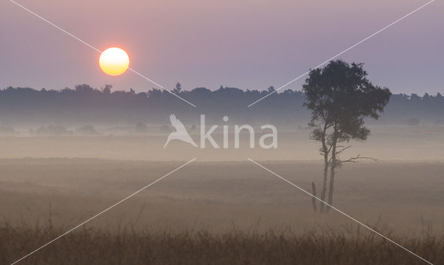 Nationaal Park De Hoge Veluwe