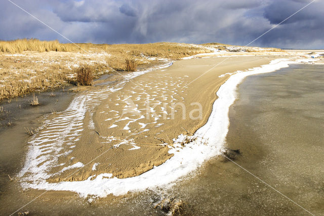 Nationaal Park Duinen van Texel