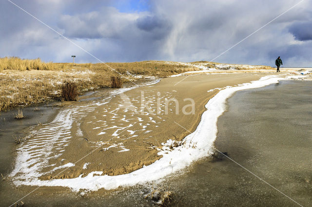 Nationaal Park Duinen van Texel