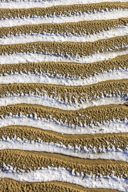 Nationaal Park Duinen van Texel