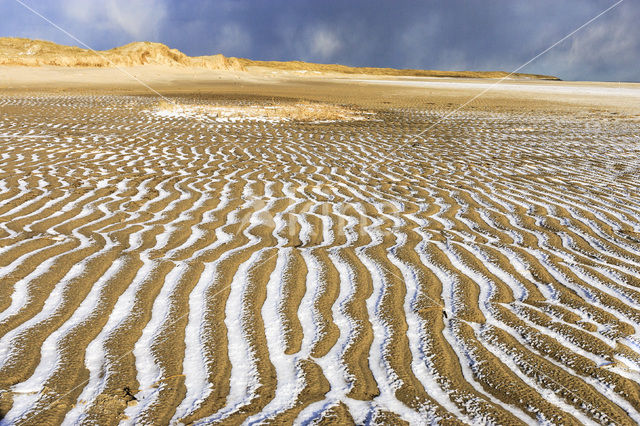 Nationaal Park Duinen van Texel