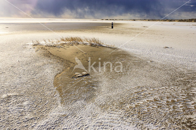 Nationaal Park Duinen van Texel