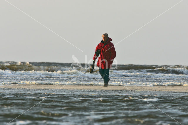 Nationaal Park Duinen van Texel