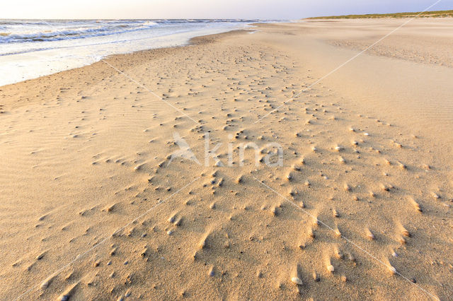 Nationaal Park Duinen van Texel