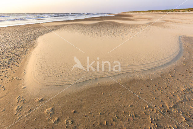 Nationaal Park Duinen van Texel