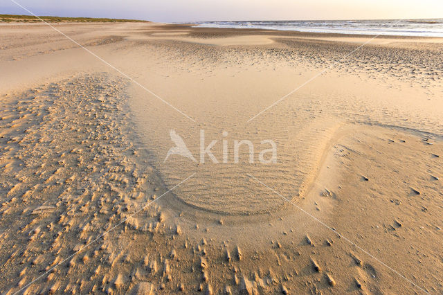 Nationaal Park Duinen van Texel