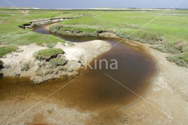 Nationaal Park Duinen van Texel