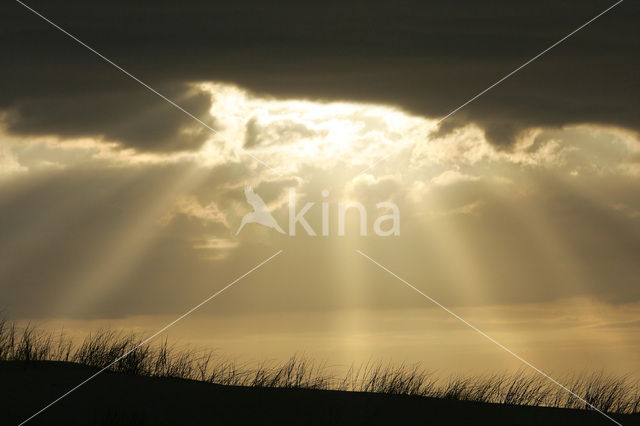 Nationaal Park Duinen van Texel