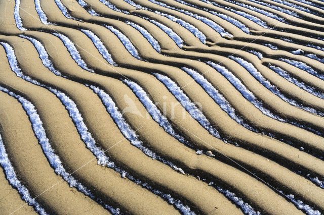 Nationaal Park Duinen van Texel