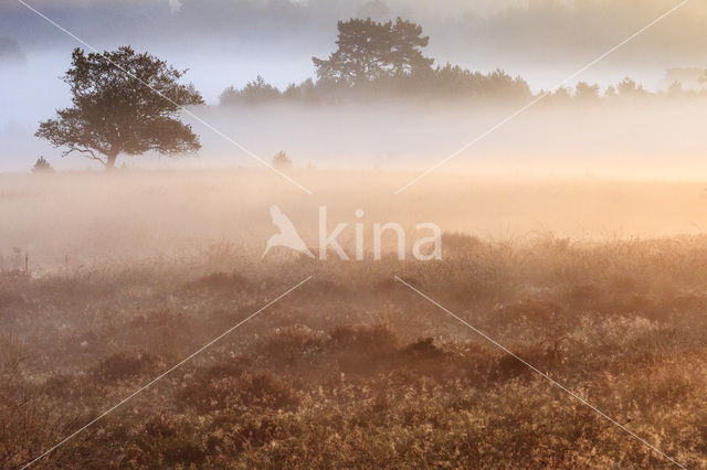 Nationaal Park Veluwezoom