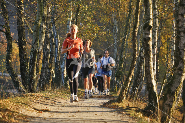 Nationaal Park Veluwezoom