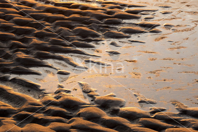 Noordzeestrand