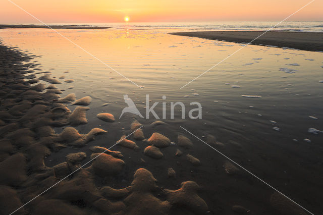 Northsea beach