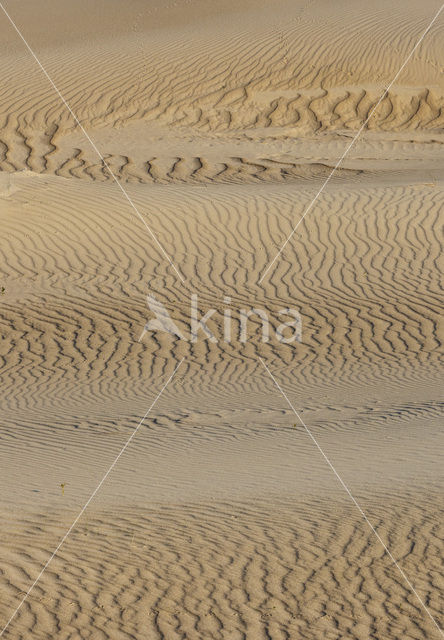 Noordzeestrand