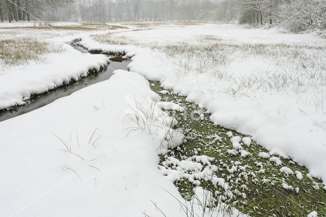 Staverdense beek