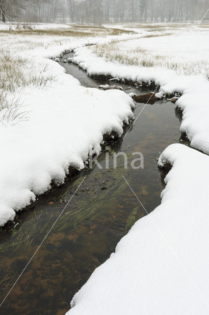 Staverdense beek