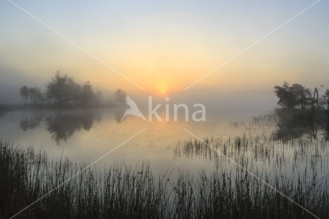 Veluwe