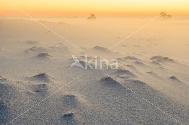 Veluwe