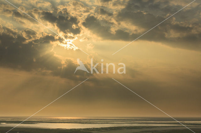 Waddensea