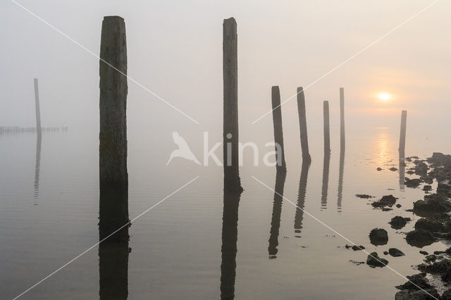 Waddenzee