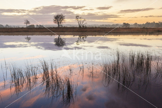 Kootwijkerzand