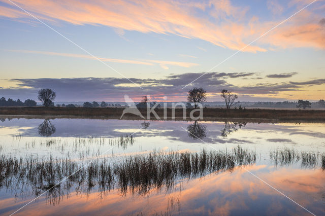 Kootwijkerzand