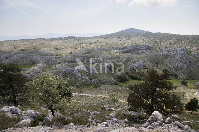 Mount Pantokrator