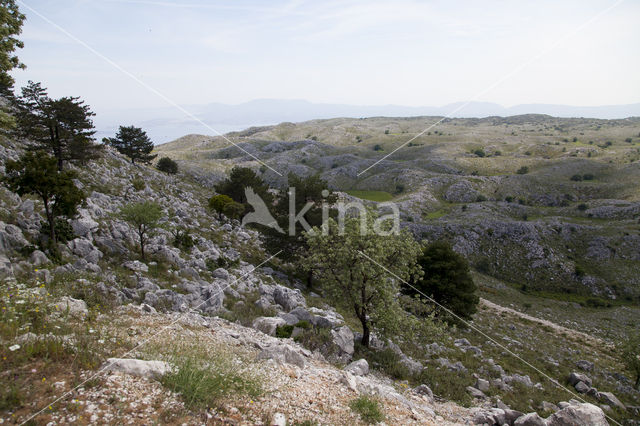 Mount Pantokrator