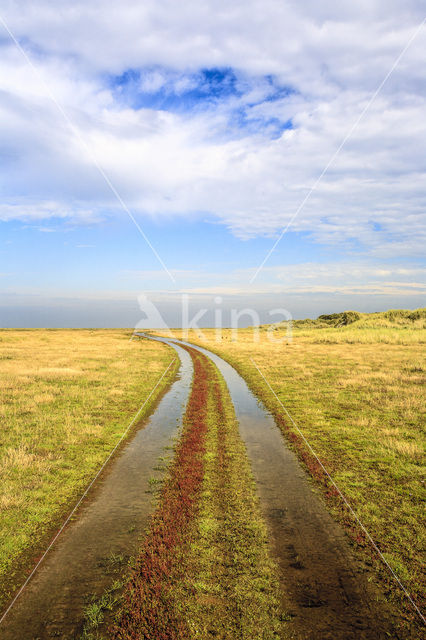 Nationaal park Schiermonnikoog