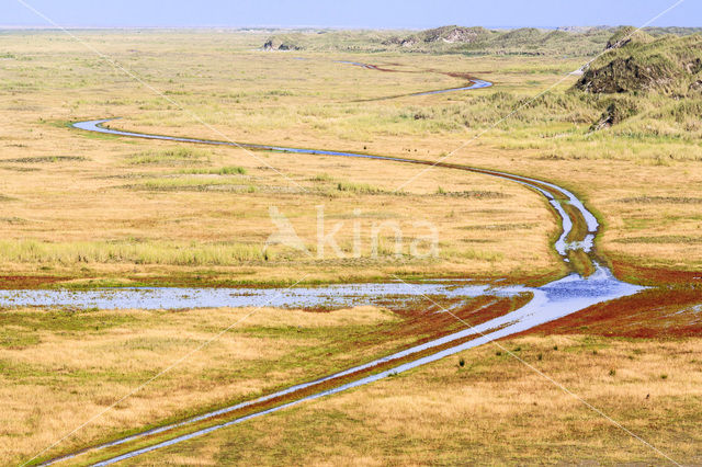 Nationaal park Schiermonnikoog