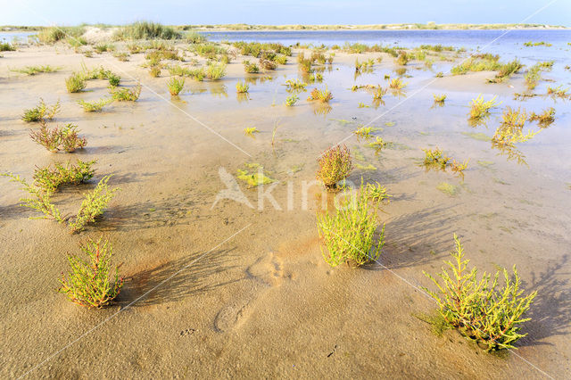 Nationaal park Schiermonnikoog