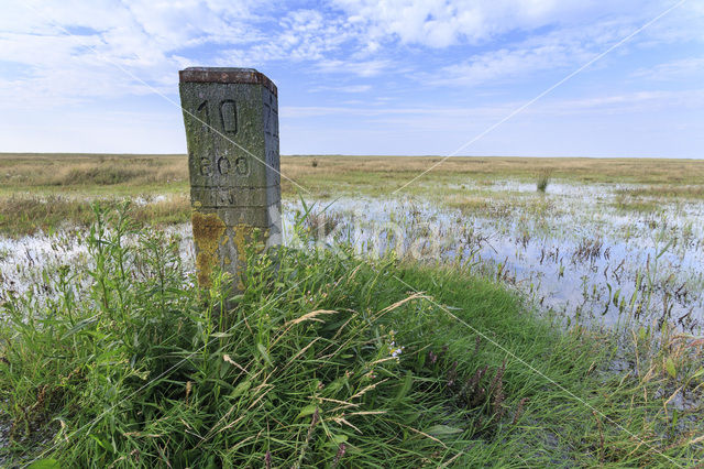 Nationaal park Schiermonnikoog