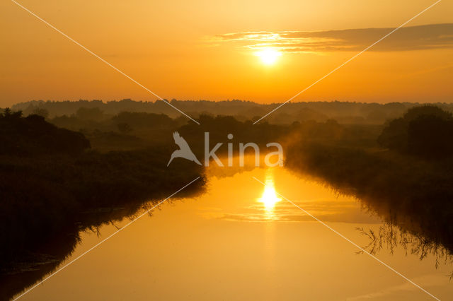 Amsterdamse waterleidingduinen