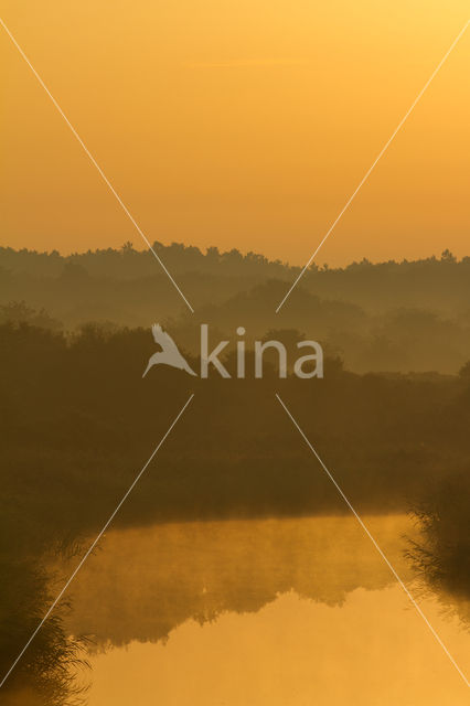 Amsterdamse waterleidingduinen