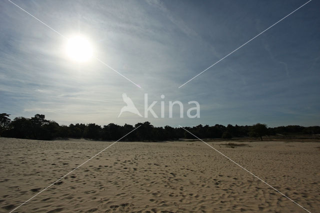 Nationaal Park Loonse en Drunense Duinen