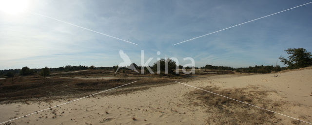 Nationaal Park Loonse en Drunense Duinen