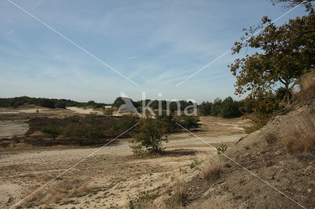 Nationaal Park Loonse en Drunense Duinen