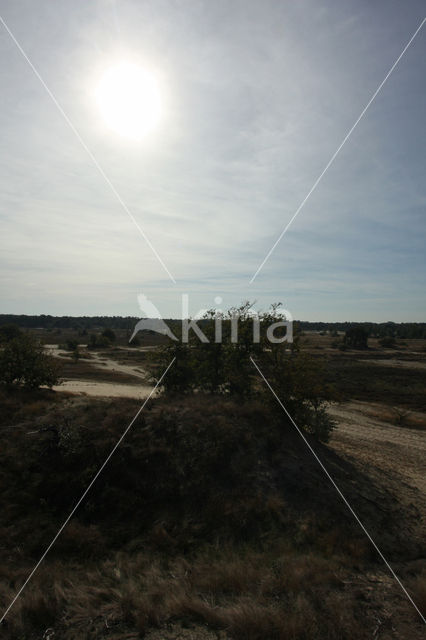 National Park Loonse en Drunense Duinen