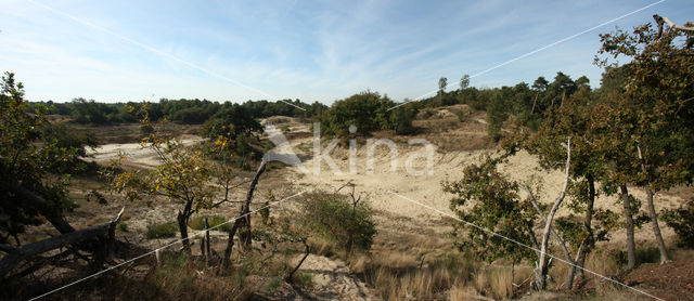 Nationaal Park Loonse en Drunense Duinen